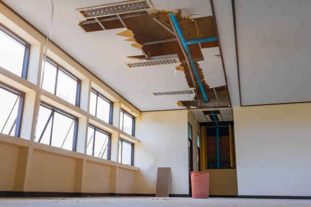 Best Water damage restoration near me  in Panama City Beach, FL