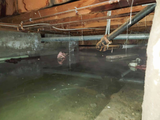Best Water damage restoration near me  in Panama City Beach, FL