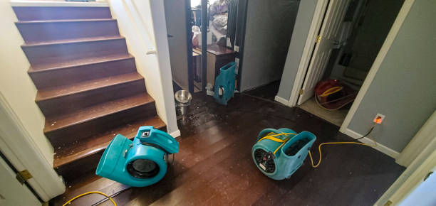 Best Water damage contractors near me  in Panama City Beach, FL