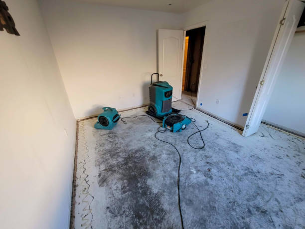 Best Flooded house restoration  in Panama City Beach, FL