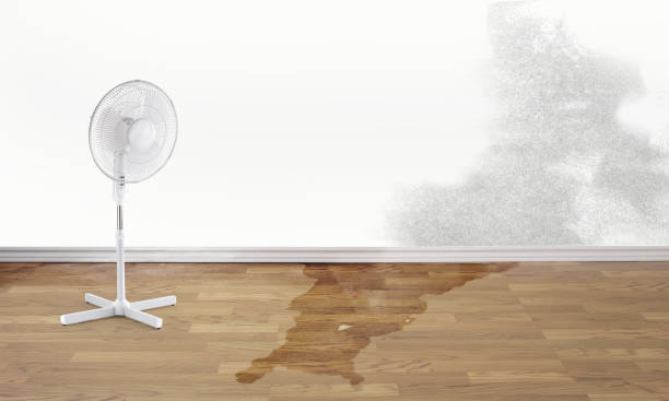 Best Fire Damage Restoration  in Panama City Beach, FL
