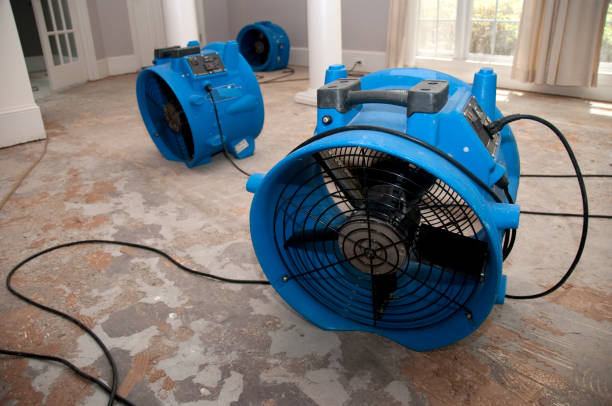 Best Flood damage cleanup  in Panama City Beach, FL
