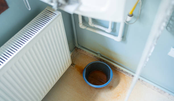 Best Water damage contractors near me  in Panama City Beach, FL