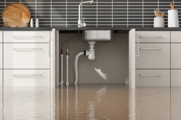 Best 24-hour water damage restoration  in Panama City Beach, FL