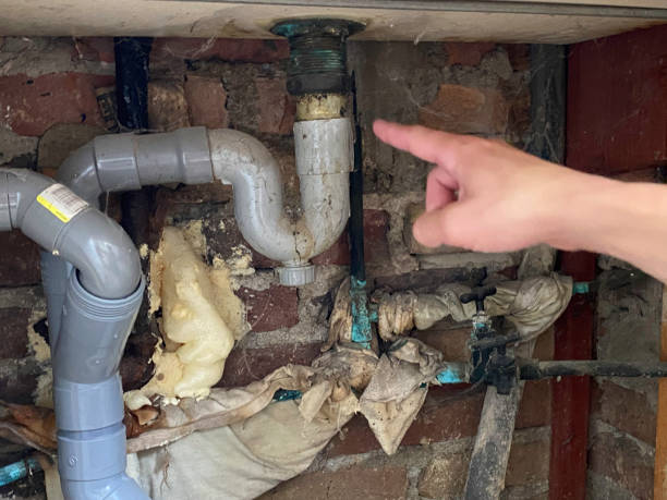 Best Local water damage restoration  in Panama City Beach, FL